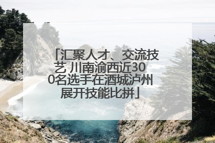 汇聚人才、交流技艺 川南渝西近300名选手在酒城泸州展开技能比拼