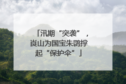 汛期“突袭”，崀山为国宝朱鹮撑起“保护伞”