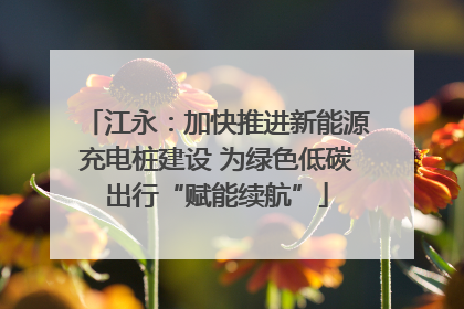 江永：加快推进新能源充电桩建设 为绿色低碳出行“赋能续航”