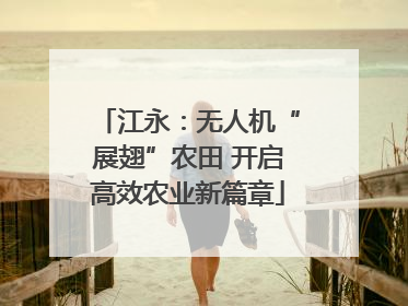 江永：无人机“展翅”农田 开启高效农业新篇章