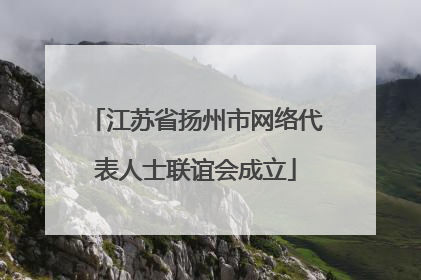 江苏省扬州市网络代表人士联谊会成立