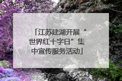 江苏建湖开展“世界红十字日”集中宣传服务活动