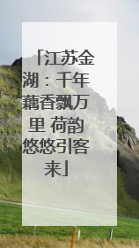 江苏金湖：千年藕香飘万里 荷韵悠悠引客来