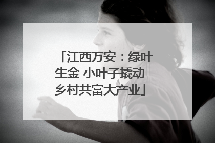 江西万安：绿叶生金 小叶子撬动乡村共富大产业
