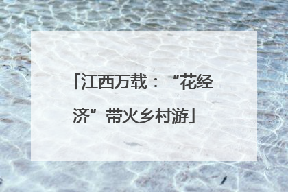 江西万载：“花经济”带火乡村游