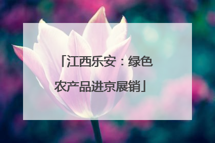 江西乐安：绿色农产品进京展销