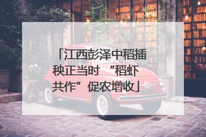 江西彭泽中稻插秧正当时 “稻虾共作”促农增收