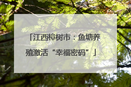 江西樟树市：鱼塘养殖激活“幸福密码”