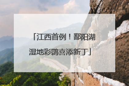 江西首例！鄱阳湖湿地彩鹮喜添新丁