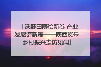 沃野田畴绘新卷 产业发展谱新篇——陕西岚皋乡村振兴走访见闻