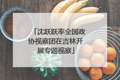 沈跃跃率全国政协视察团在吉林开展专题视察