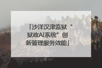沙洋汉津监狱“狱政AI系统”创新管理服务效能