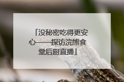 没秘密吃得更安心——探访浣熊食堂后厨直播