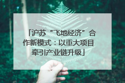 沪苏“飞地经济”合作新模式：以重大项目牵引产业链升级