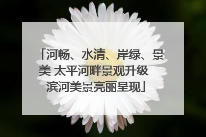 河畅、水清、岸绿、景美 太平河畔景观升级 滨河美景亮丽呈现