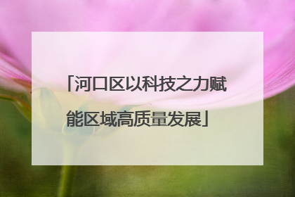 河口区以科技之力赋能区域高质量发展