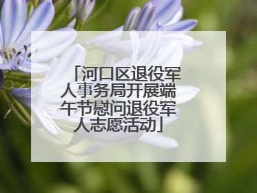 河口区退役军人事务局开展端午节慰问退役军人志愿活动