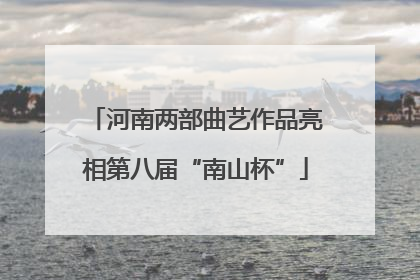 河南两部曲艺作品亮相第八届“南山杯”