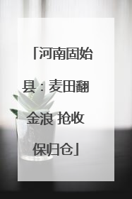 河南固始县：麦田翻金浪 抢收保归仓