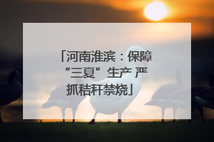 河南淮滨：保障“三夏”生产 严抓秸秆禁烧