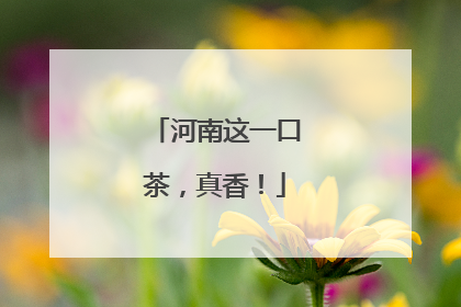 河南这一口茶，真香！