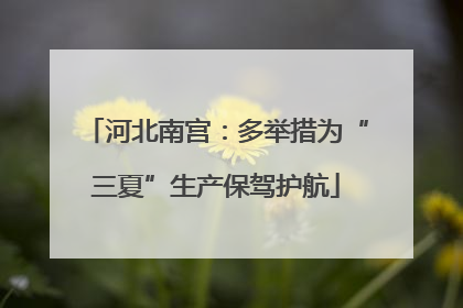 河北南宫：多举措为“三夏”生产保驾护航