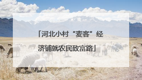 河北小村“麦客”经济铺就农民致富路
