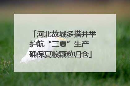 河北故城多措并举护航“三夏”生产 确保夏粮颗粒归仓