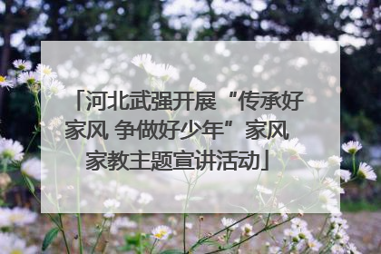 河北武强开展“传承好家风 争做好少年”家风家教主题宣讲活动