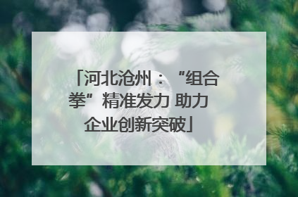 河北沧州：“组合拳”精准发力 助力企业创新突破