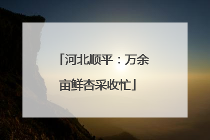 河北顺平：万余亩鲜杏采收忙