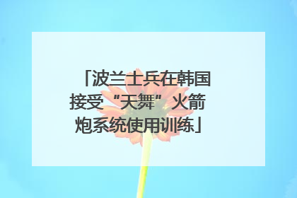 波兰士兵在韩国接受“天舞”火箭炮系统使用训练