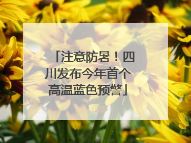 注意防暑！四川发布今年首个高温蓝色预警