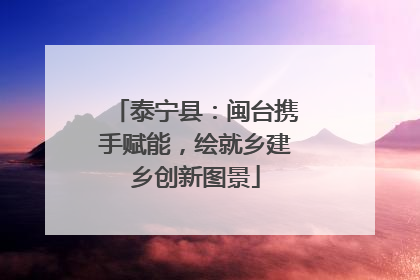 泰宁县：闽台携手赋能，绘就乡建乡创新图景