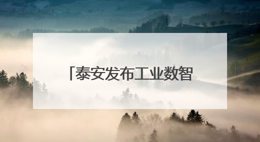 泰安发布工业数智化转型蓝图，“十百千万”梯队+灯塔工厂打造产业新标杆