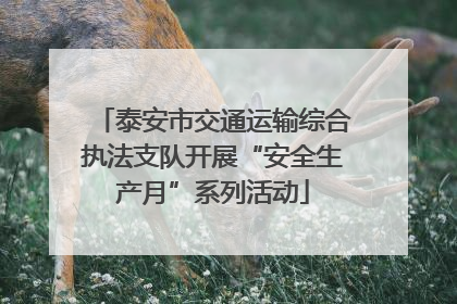 泰安市交通运输综合执法支队开展“安全生产月”系列活动