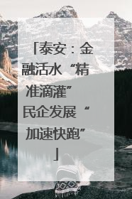 泰安：金融活水“精准滴灌” 民企发展“加速快跑”