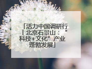 活力中国调研行丨北京石景山：“科技+文化”产业蓬勃发展