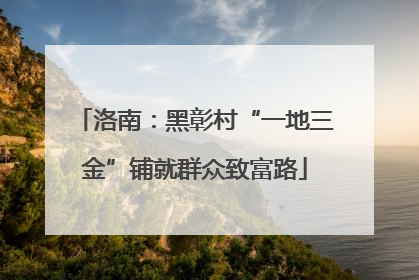 洛南：黑彰村“一地三金”铺就群众致富路