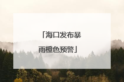 海口发布暴雨橙色预警