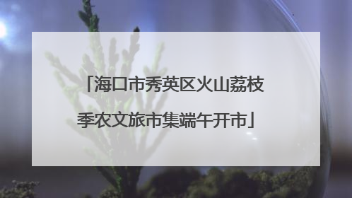 海口市秀英区火山荔枝季农文旅市集端午开市