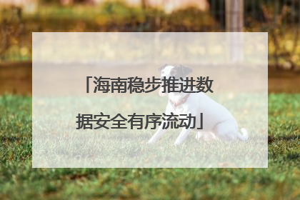 海南稳步推进数据安全有序流动