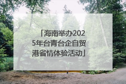 海南举办2025年台青台企自贸港省情体验活动