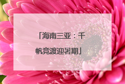 海南三亚：千帆竞渡迎暑期
