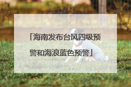 海南发布台风四级预警和海浪蓝色预警