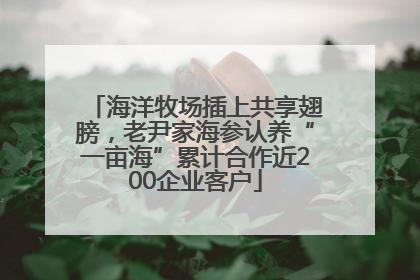海洋牧场插上共享翅膀，老尹家海参认养“一亩海”累计合作近200企业客户
