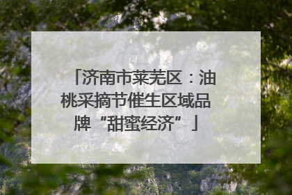 济南市莱芜区：油桃采摘节催生区域品牌“甜蜜经济”