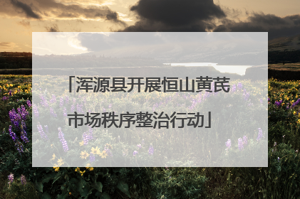 浑源县开展恒山黄芪市场秩序整治行动
