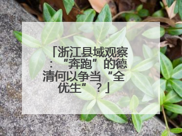 浙江县域观察：“奔跑”的德清何以争当“全优生”？