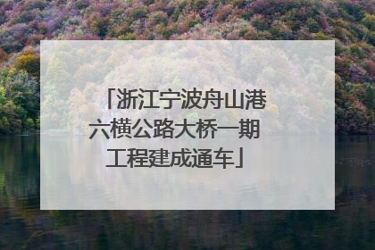 浙江宁波舟山港六横公路大桥一期工程建成通车